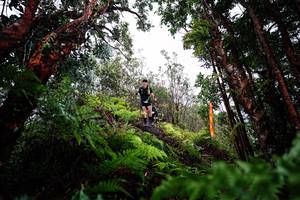 BIB: 
                            <button type="button" onclick="openModal(26204244)" class="btn btn-primary btn-sm float-right btn-popup" data-toggle="modal" data-target=".modal-high-quality">
                        <i class="fas fa-shopping-cart"></i> Add to Cart
                    </button>
                                            <button type="button" onclick="isThisMe(26204244, true)" class="btn btn-success btn-sm float-right btn-popup btn-isme hidden" data-toggle="tooltip" data-placement="bottom" title="นี่คือรูปของคุณใช่ไหม คลิกที่นี่เพื่อเอาเข้าอัลบั้ม">
                        <i class="fas fa-plus"></i> Add to album
                    </button>
                    <button type="button" onclick="isThisMe(26204244, false)" class="btn btn-warning btn-sm float-right btn-popup btn-isnotme hidden">
                        <i class="fas fa-ban"></i> Remove from album
                    </button>